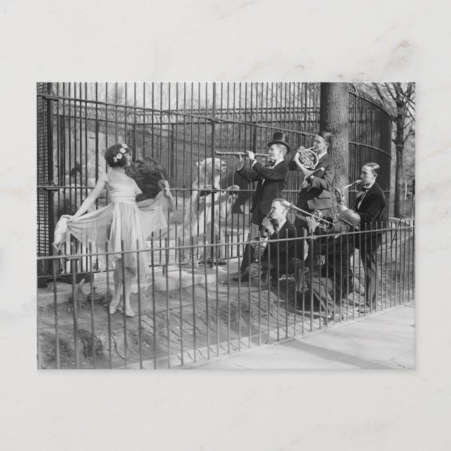 Jazzband underhåller isbjörnar, 1925 vykort (Framsida)