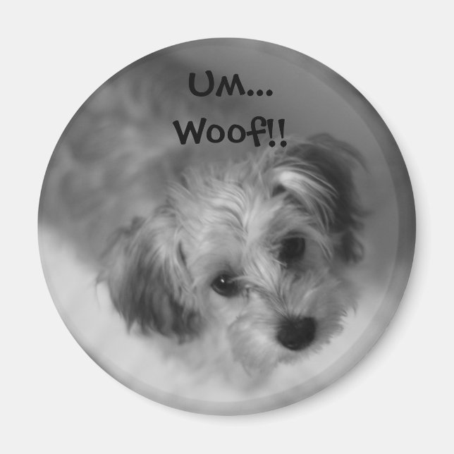 Jazzie Magnet (Framsidan)