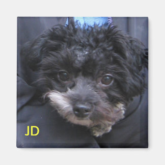 JD MAGNET