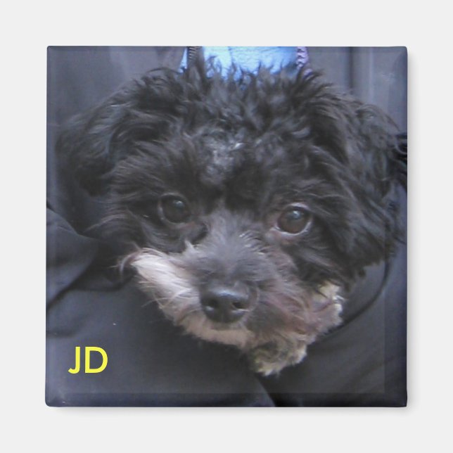 JD MAGNET (Framsidan)