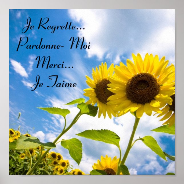 Je Regrette...Pardonne-Moi, Je Taime Poster (Framsidan)