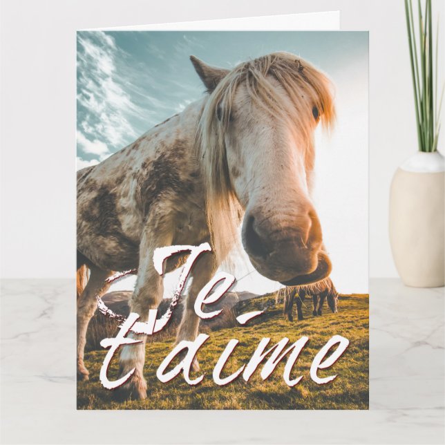 Je t'aime avec contdé cheva kort (Framsida)