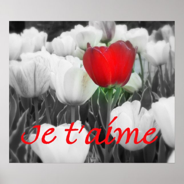 Je t'aime Red Tulip Print Poster (Framsidan)