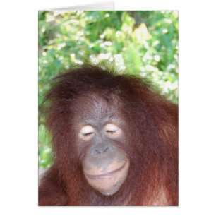 Jealousy: Vacker Red Hair Orangutan Hälsningskort