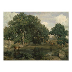Jean-Baptiste-Camille Corot - Forest Fototryck