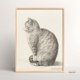 Jean Bernard Sitta Cat Animal Fine Art Artistry Poster