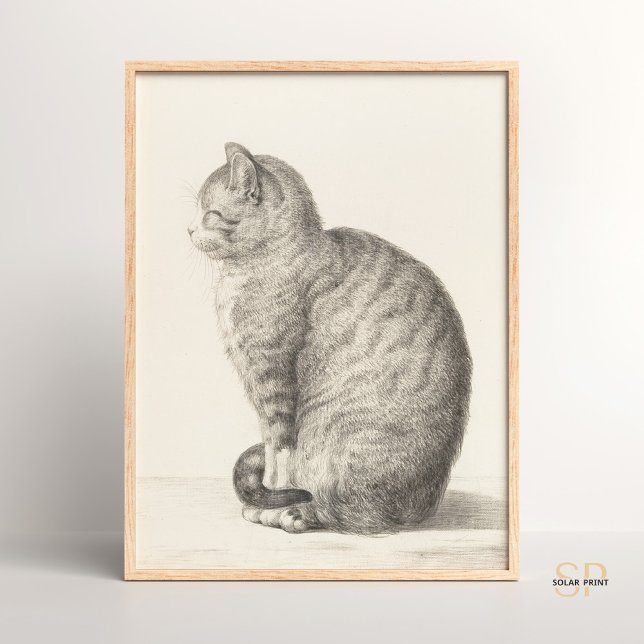 Jean Bernard Sitta Cat Animal Fine Art Artistry Poster (Skapare uppladdad)
