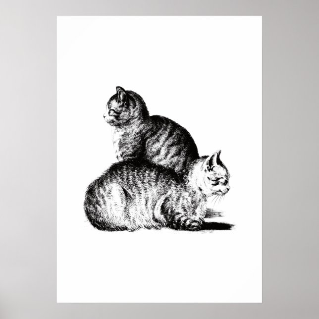 Jean Bernard's two cats combination Poster (Framsidan)