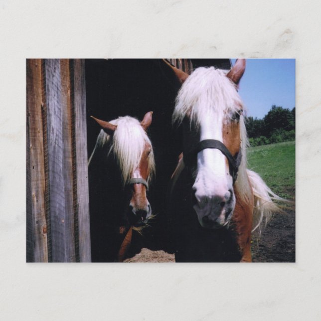 Jeff et Kate Vykort (Framsida)