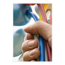 Jeff Koons Sculpture "Bouquet of Tulips" i Paris Fototryck