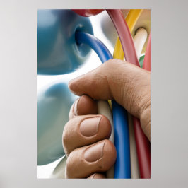 Jeff Koons Sculpture "Bouquet of Tulips" i Paris Poster
