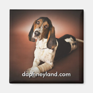 Jefferson med cast Magnet