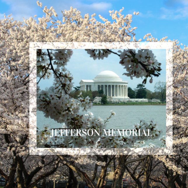 Jefferson Memorial, Tidal Basin, Körsbärsblommor Vykort (Skapare uppladdad)