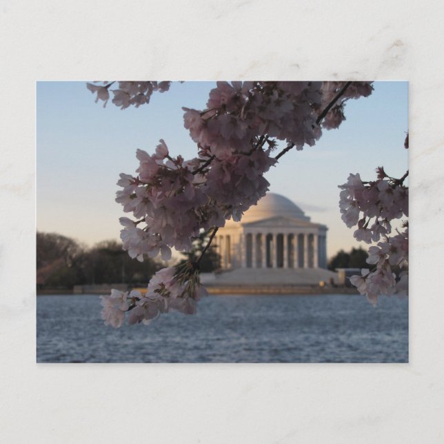 Jefferson Memorial Vykort (Framsida)