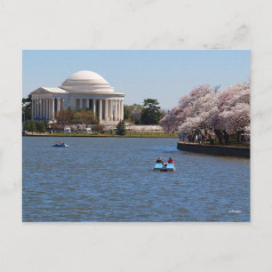 Jefferson Memorial Washington DC Vykort