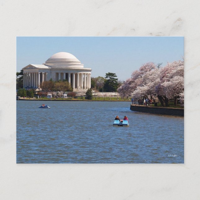Jefferson Memorial Washington DC Vykort (Framsida)