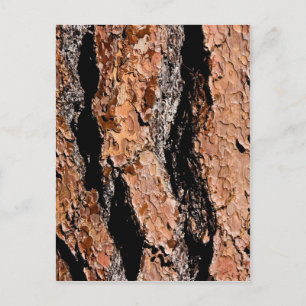 Jeffrey Gräs Bark Detail Vykort