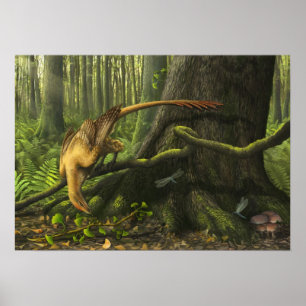 Jeholornis tryck