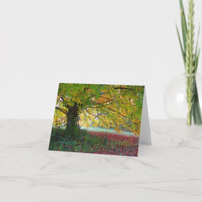 Jehovah-rapha Kort (Framsida)