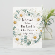 Jehovah Shalom, Vita Prästkragar Eukalyptus Whimsi