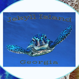 Jekyll Georgia Swimming Sea Turtle Vykort