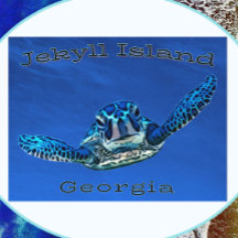 Jekyll Georgia Swimming Sea Turtle