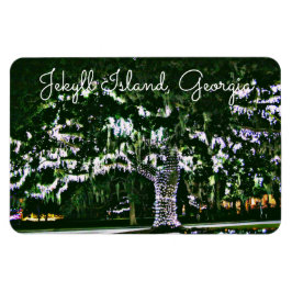 Jekyll Island GA Ljus på Live Oak Träd Magnet