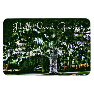 Jekyll Island GA Ljus på Live Oak Träd Magnet