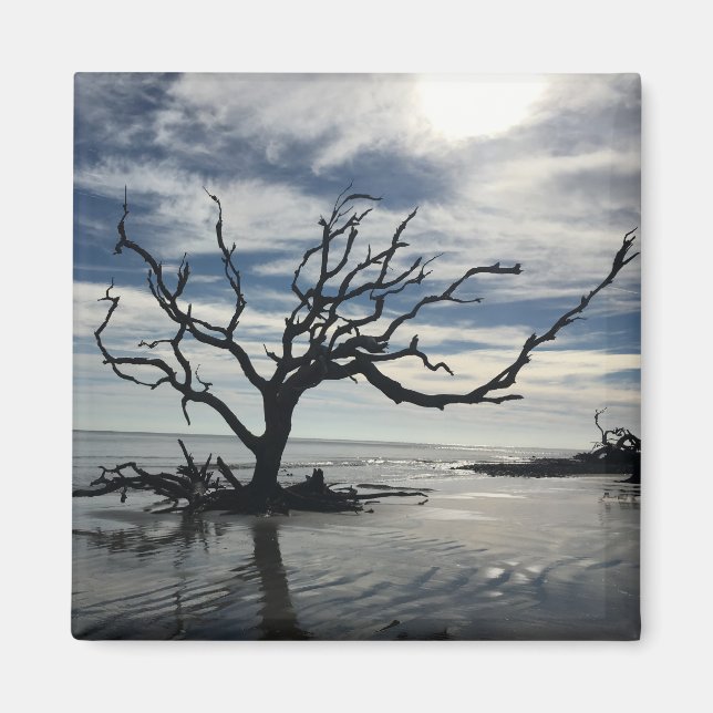 Jekyll Island Georgia Magnet (Framsidan)