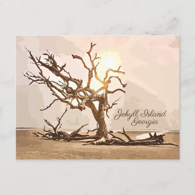 Jekyll Island Georgia Postcard Vykort (Framsida)