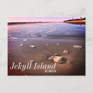 Jekyll Island Georgia Sand Dollar Beach Vykort