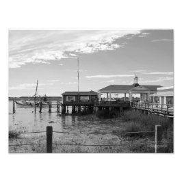 Jekyll Island - Georgien Fototryck