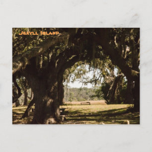 Jekyll Island Pathway till Marsh Vykort