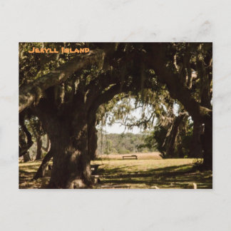 Jekyll Island Pathway till Marsh Vykort
