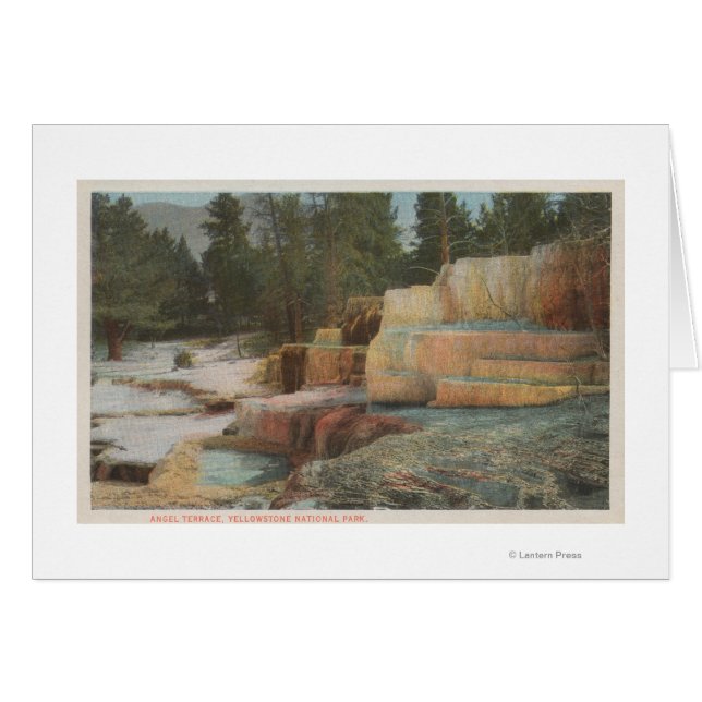 Jellowstone, WYView of Angel Terrace Hälsningskort (Framsidan Horizontal)