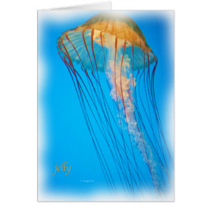 jelly_2643_Paint Hälsningskort