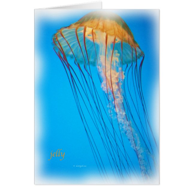 jelly_2643_Paint Hälsningskort (Framsidan)