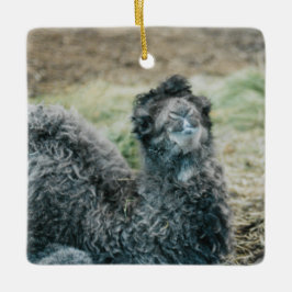 Jelly Baba Julgransprydnad Keramik