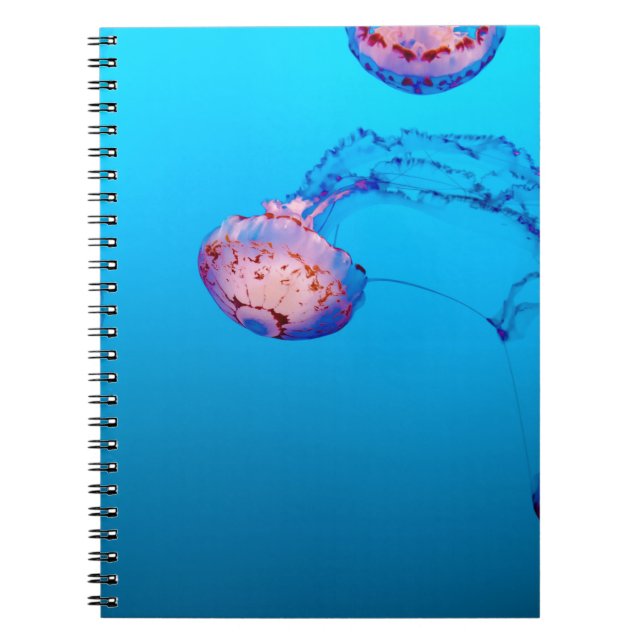JELLY FISHES UNDERVATTEN ANTECKNINGSBOK (Framsidan)