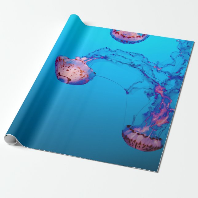 JELLY FISHES UNDERVATTEN PRESENTPAPPER (Utrullad)