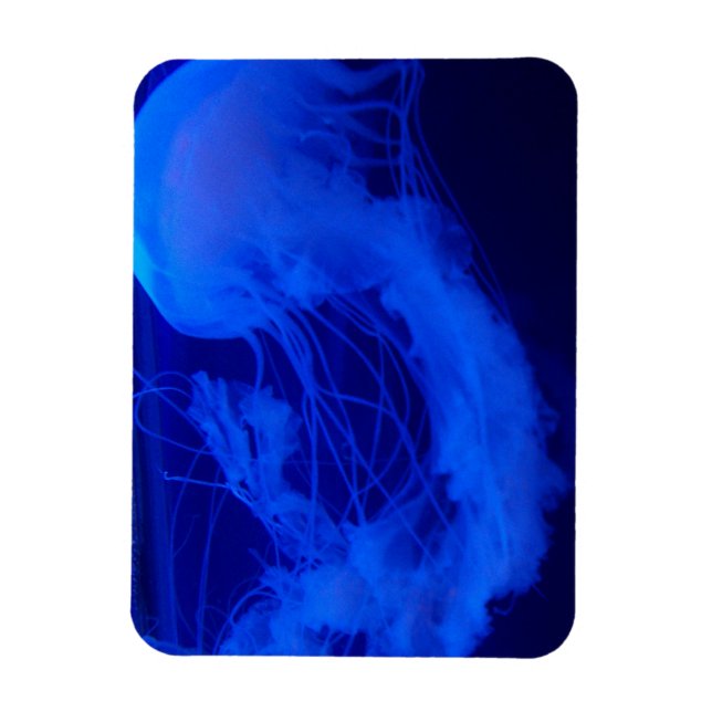 Jelly magnet (Vertikal)