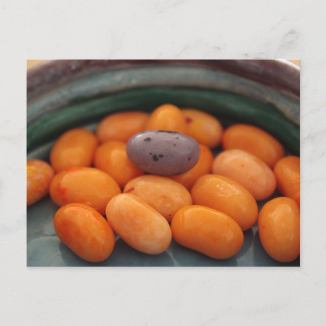 Jellybebos John 6:27 Postcard Vykort (Framsida)