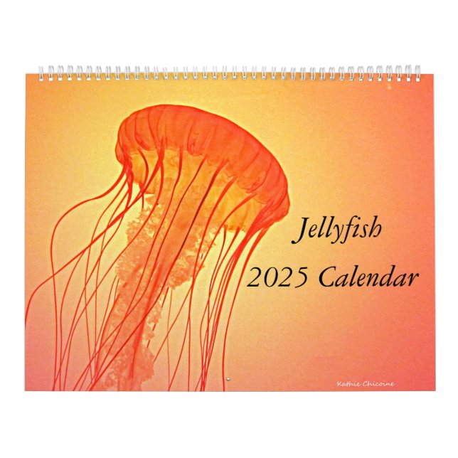 Jellyfish 2025 Calendar Kalender (Omslag)