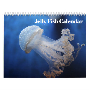 Jellyfish 2025 kalender