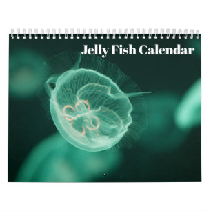 Jellyfish 2025 kalender