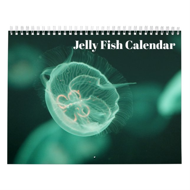 Jellyfish 2025 kalender (Omslag)