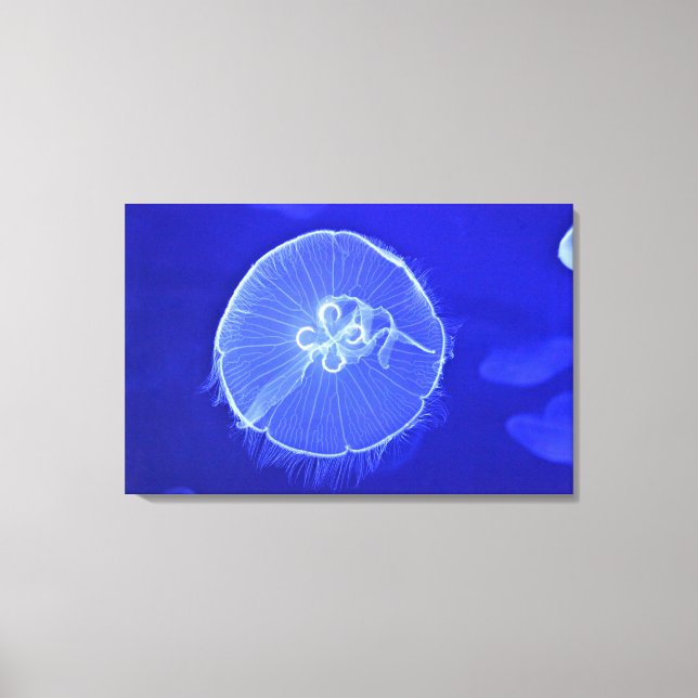 Jellyfish 2 canvastryck (Framsida)