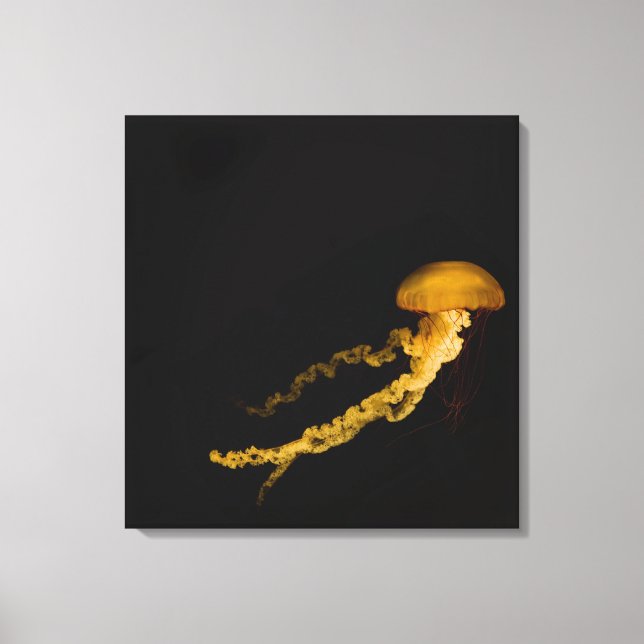 Jellyfish 3 canvastryck (Framsida)