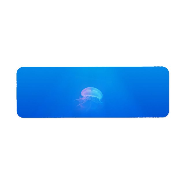 Jellyfish-698521 SEA CREATURE ANIMALS BLUE OCEAN Returadress Etikett (Framsidan)