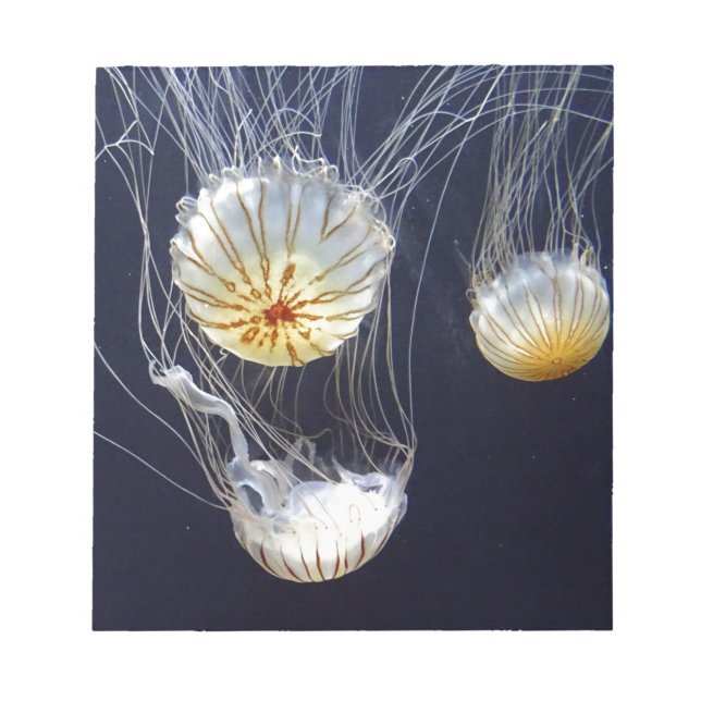 Jellyfish Anteckningsblock (Framsida)